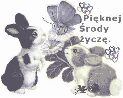 Pięknej środy życzą zajączki